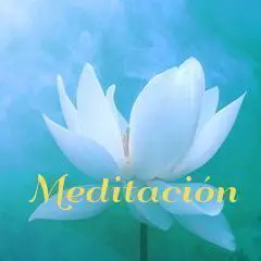 meditacion loto