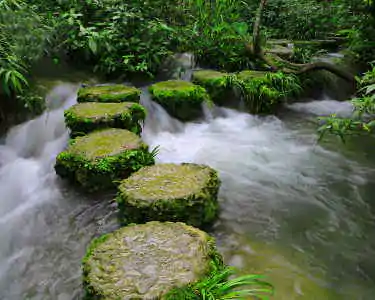 camino de rocas en el rio 