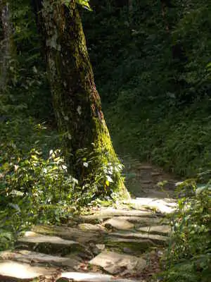 phokara