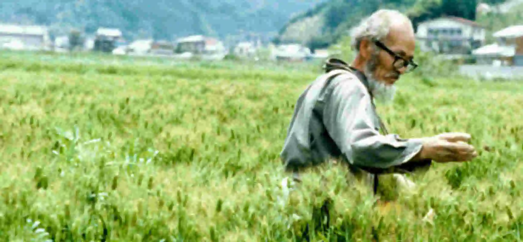 masanobu-fukuoka