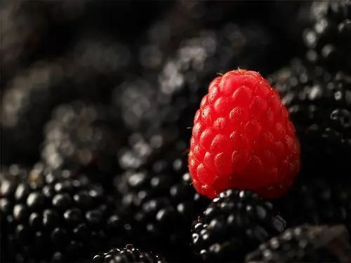 berry