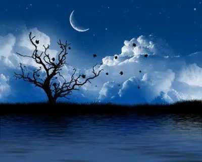 noche