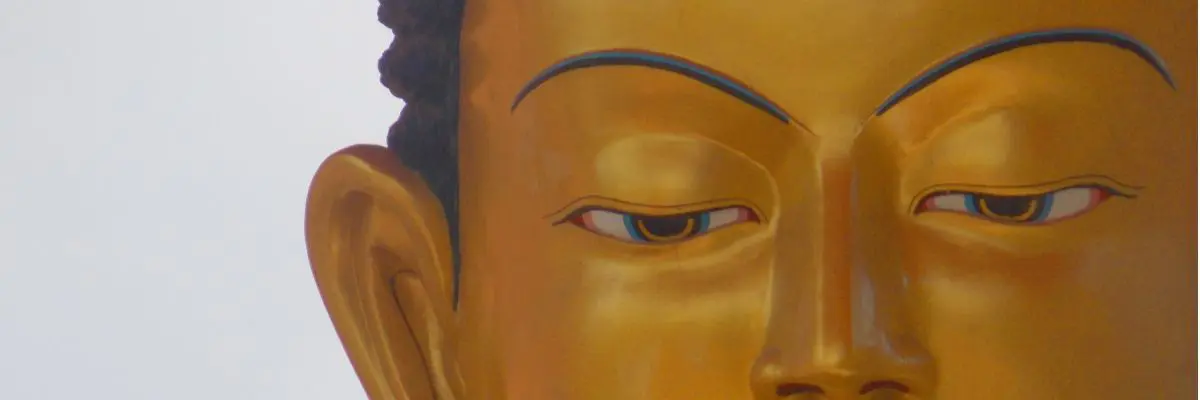 budhaojos