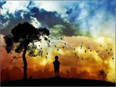 arbol adria