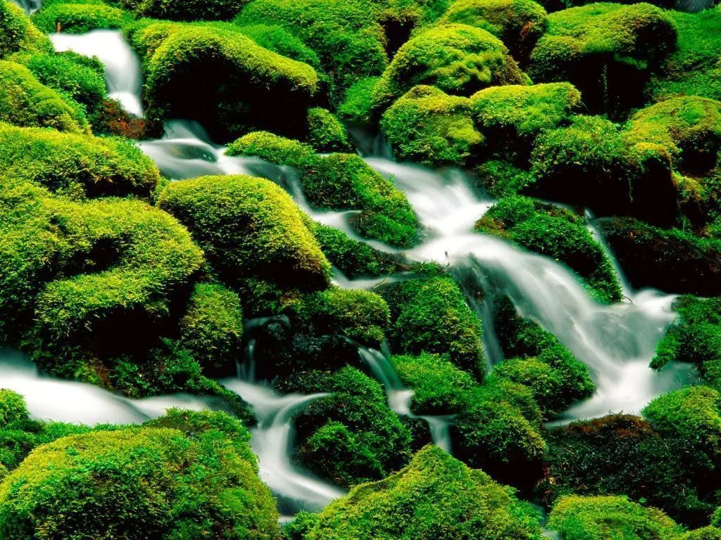 Caida de Agua 1024x768 263737