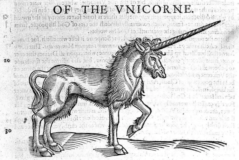 unicornio