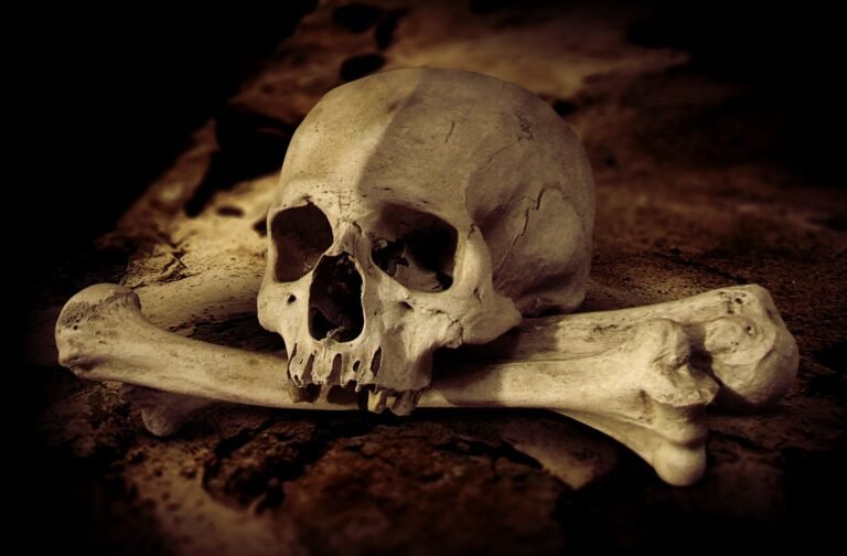 calavera