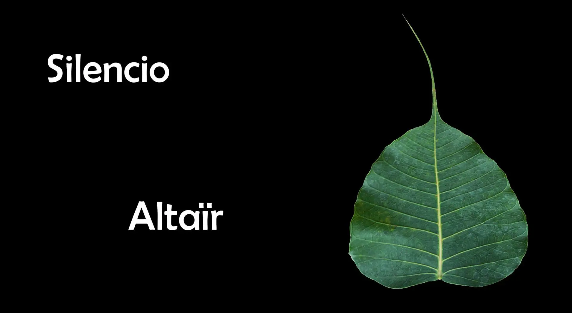 silencio