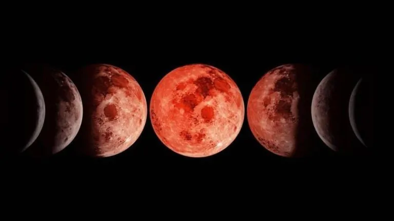 Los ciclos del Sol y la Luna