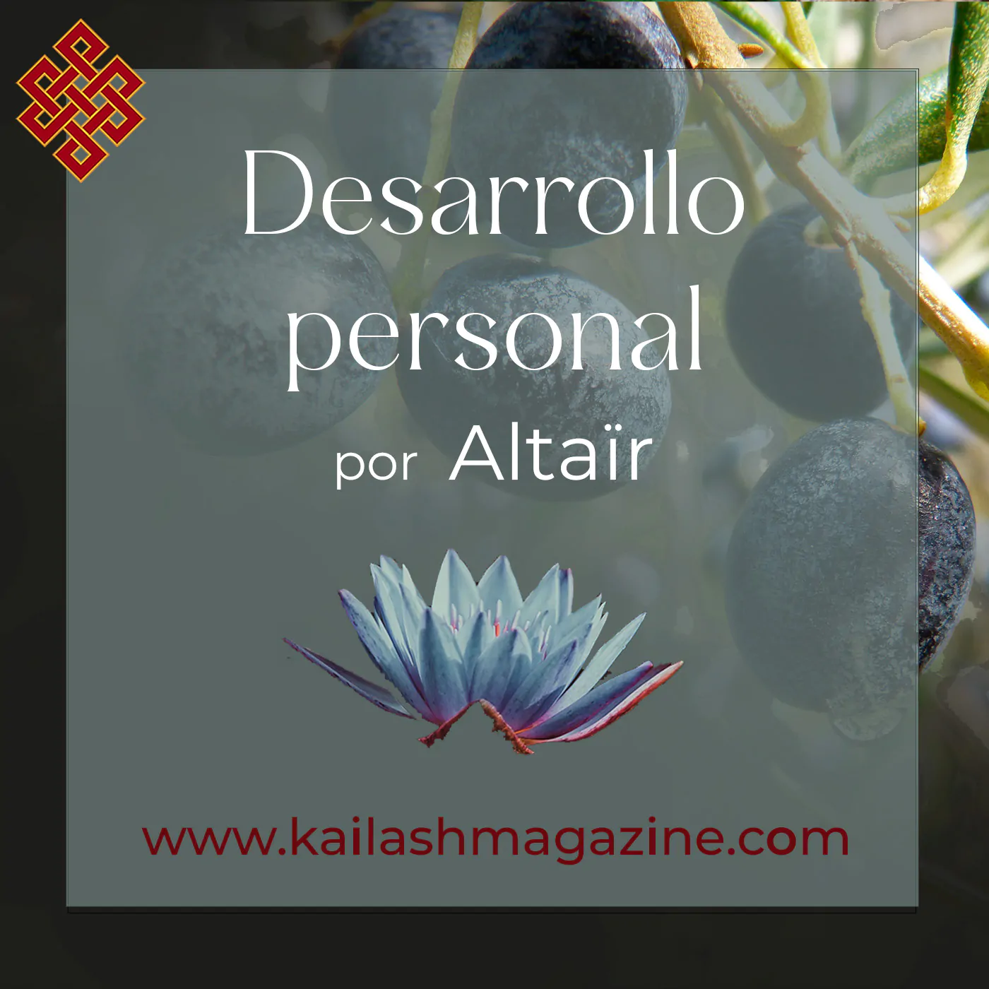 Sanación del dolor colectivo 3