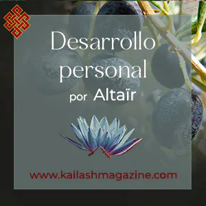 Desarrollo personal Desarrollo personal