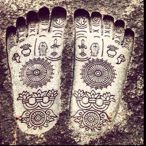 La experiencia de los agregados