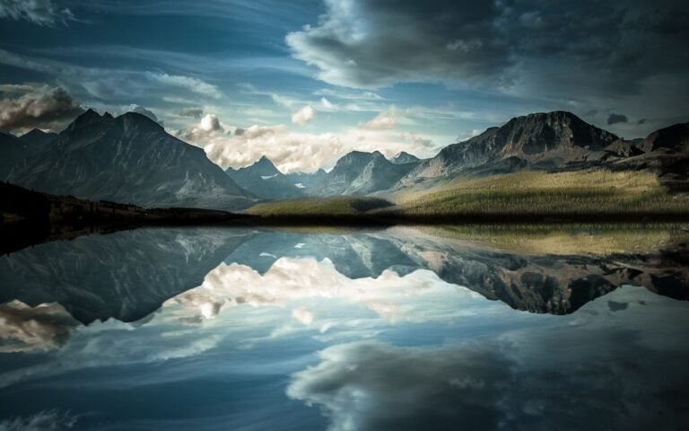 reflejo